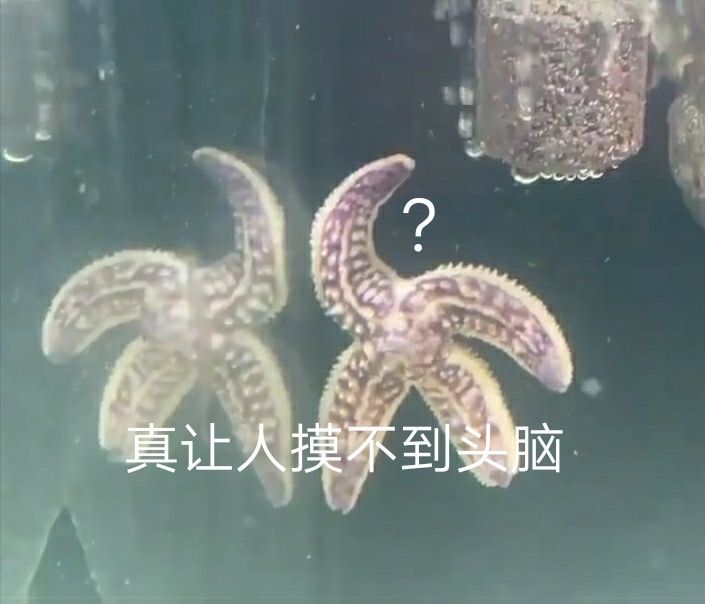 什么情况?我的花呢?就我这样?截图