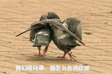 闲谈星球第一期之被咕咕的经历