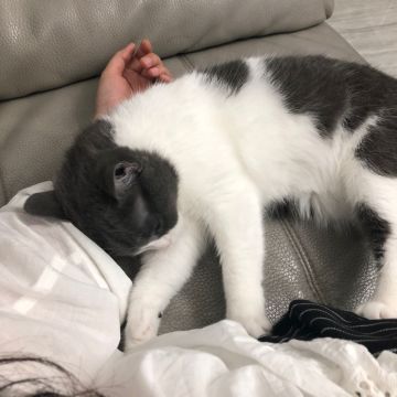 关于对冰战攻速收益的分析