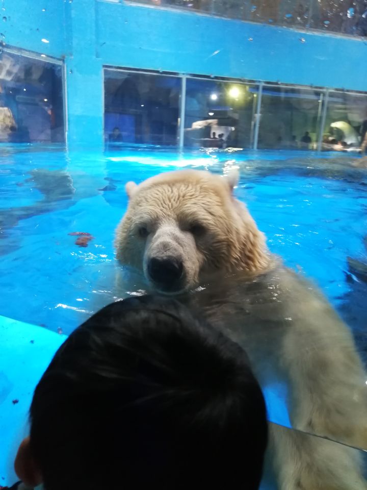 阿伟,小作文写好了嘛?截图