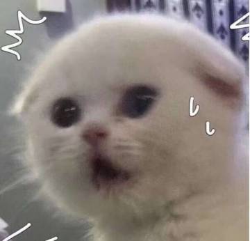 开花组の日志 | 什么？舔萌妹这种事居然不告诉我？