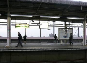 时光荏苒，岁月匆匆。枯木逢春，古蛹化蝶。我来了，你，还在吗？