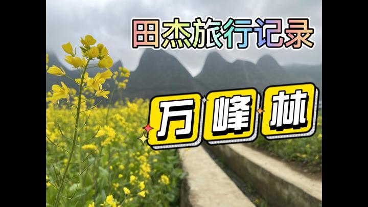 田杰旅行记录:万峰林截图