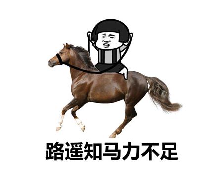 第一届《无限世界》奇葩坐骑鉴赏大会正式开幕截图