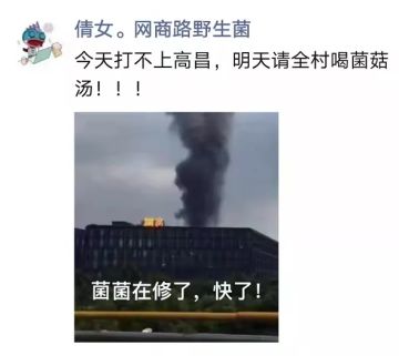 快快快！三界应战双十一，这份活动指南速来领取！