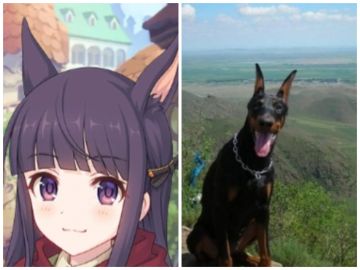 【迫害禁止】霞的本体