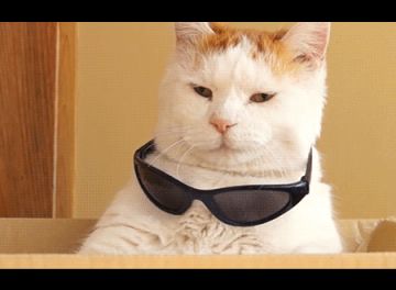 靓仔的节日试炼——导师偶遇记