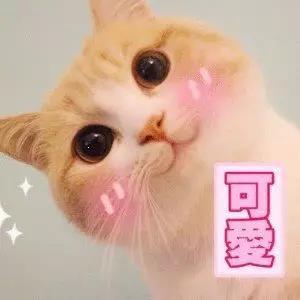 英雄形象升级持续爆料中，黄忠&黄舞蝶大升级