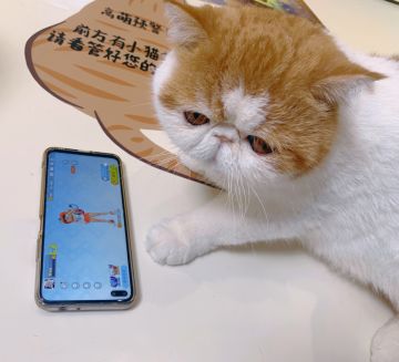 Flash 日记 | 2021-5-26 你都在什么时候打Flash Party？