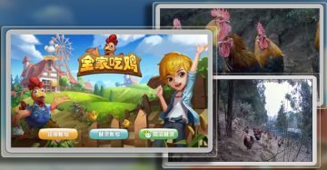 《全家吃鸡》农场线下活动—鸡犬争霸
