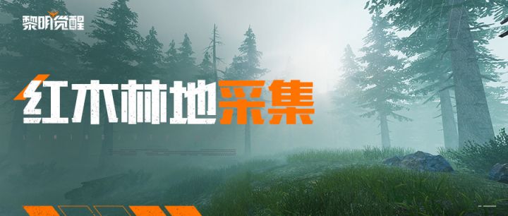 大世界资源库:红木林地分库来啦截图