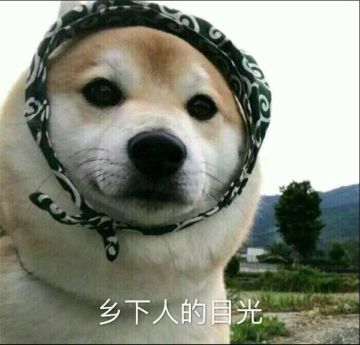 【喵的情报站】六大神器到底是什么