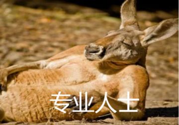 【老胡说】通用类技能初窥