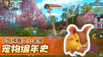 【下饭神兽之小金猪】
