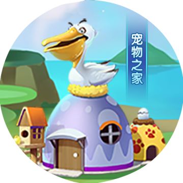 新手常见问题，这些问题我不信你都懂 【持续更新中...】