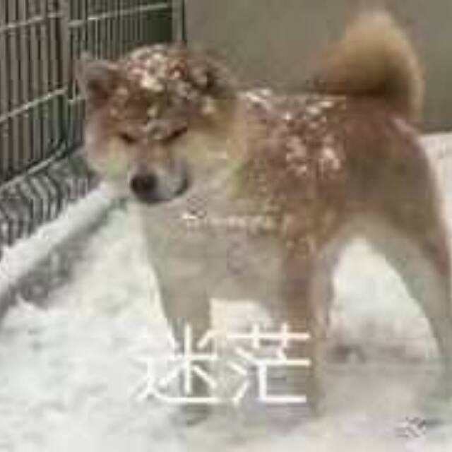 (求助)找一个小游戏!回忆不起来名字了截图