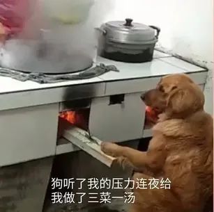 第一天开始玩的,总结下。截图