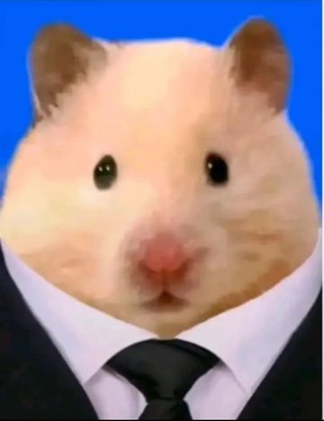 [互联网记事] 最近爆火的「鼠鼠文学」究竟是什么？