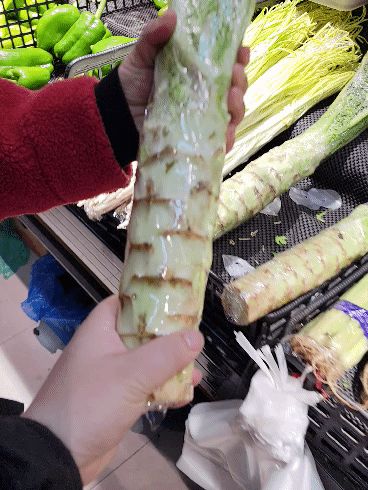 这几首歌都好tm智障or沙雕截图