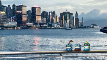 假期来临，不知名生物出没！