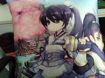 样品，你们要的抱枕样品。