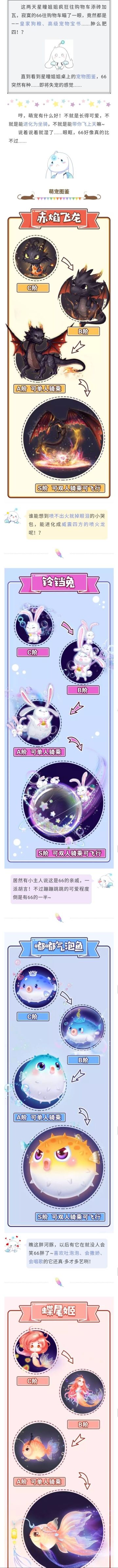 萌宠图鉴｜66即将失宠的真相竟是......新宠既可爱又能飞！？