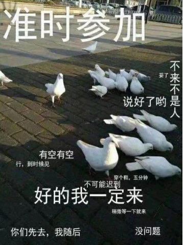 【周五杂料】小天使们那里都多少度了~