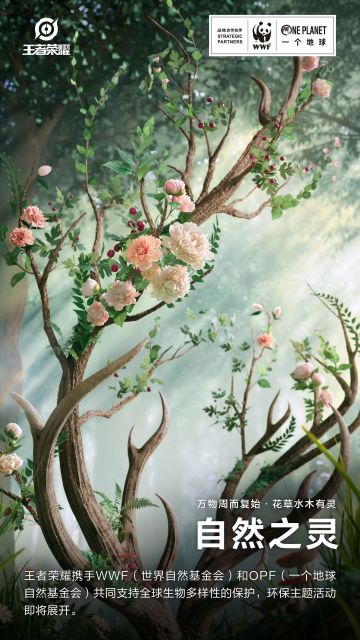 小妲己爆料|王者荣耀携手世界自然基金会，开启“自然之灵守护计划”