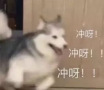 五月版本更新前瞻>>周年庆直播进入倒计时！更有关宁校场优化，童心外观限时回归