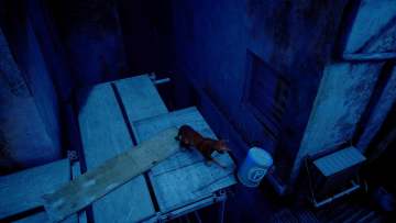 《迷失》中你能干的十件「猫事」