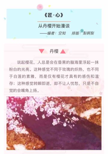 【匠•心】外传：从丹樱开始漫谈