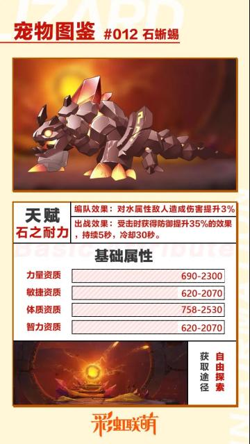 【萌宠图鉴】健身达人——石蜥蜴