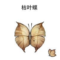 不定时图透~（3月7日）