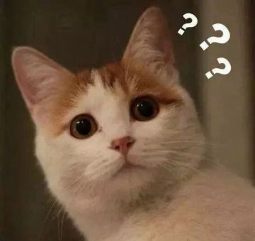 只有真·江湖人才明白的“内涵词语”，你能读懂几个？