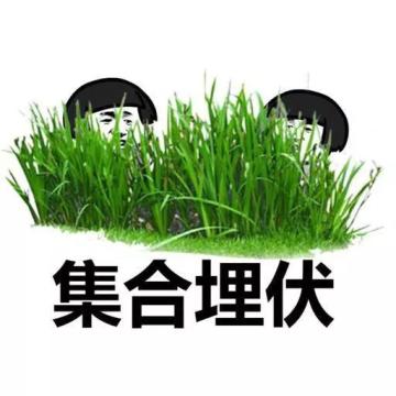 【出击福利到】你躺鸡被嘲笑过么？