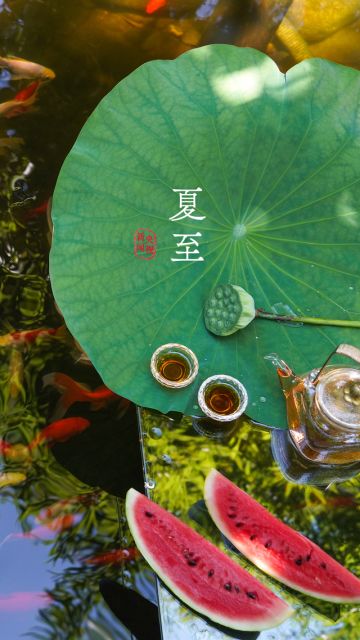 汐汐泳装首曝光！夏至已至，来《我的木筏》清凉一夏吧