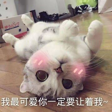 养猫的三大好处你都知道吗？岁月静好，全因有猫！