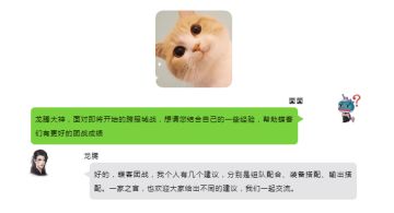 城战即将来临，你的蝶客准备好了吗？