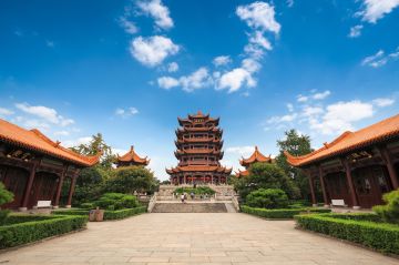 【2020UNO中国线上巡回赛】那里总是潮湿，总是松软——“武汉站”周预赛开启