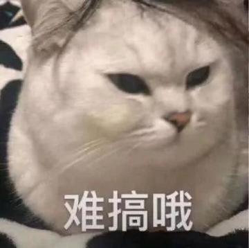 喜迎新赛道，这个周末排位不掉分！