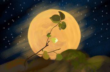 《大侠挂机个》中秋佳节