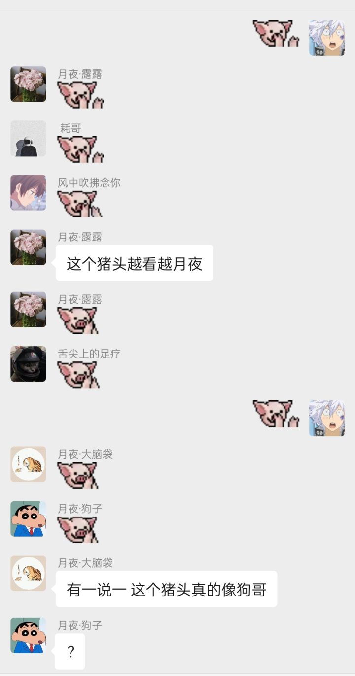 月夜的猪头(君誓)们截图