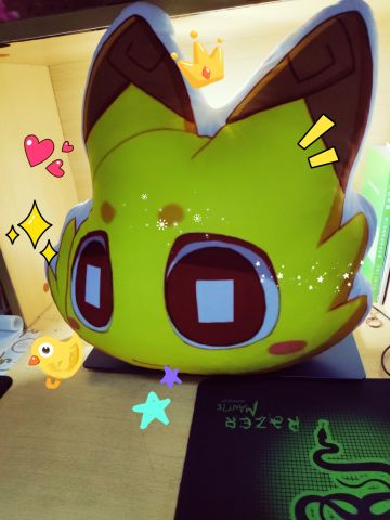 二测的礼物收到啦