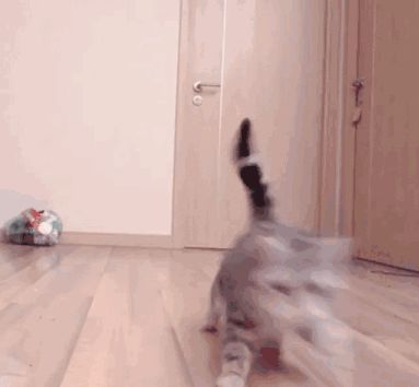 打卡截图