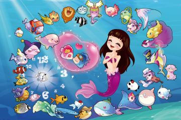 水族箱个人简介~