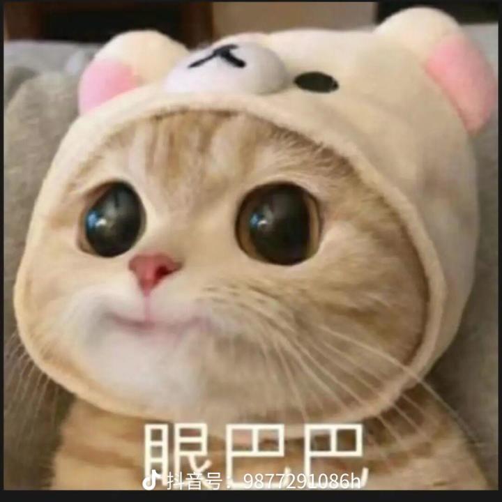 手游截图