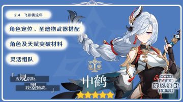 【V2.4攻略】#角色攻略#申鹤一图总结及配队推荐