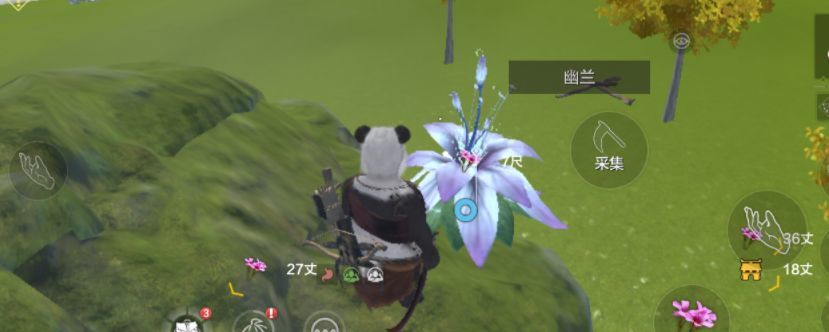 妄想山海幽兰草在哪里截图