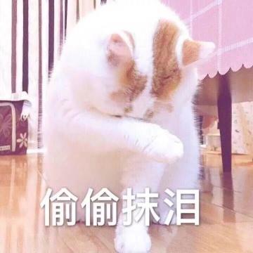 什么，每月竟能存这么多金币？