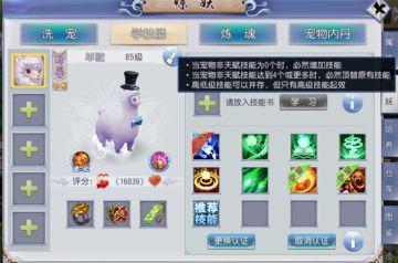 《西游之路》宠物技能